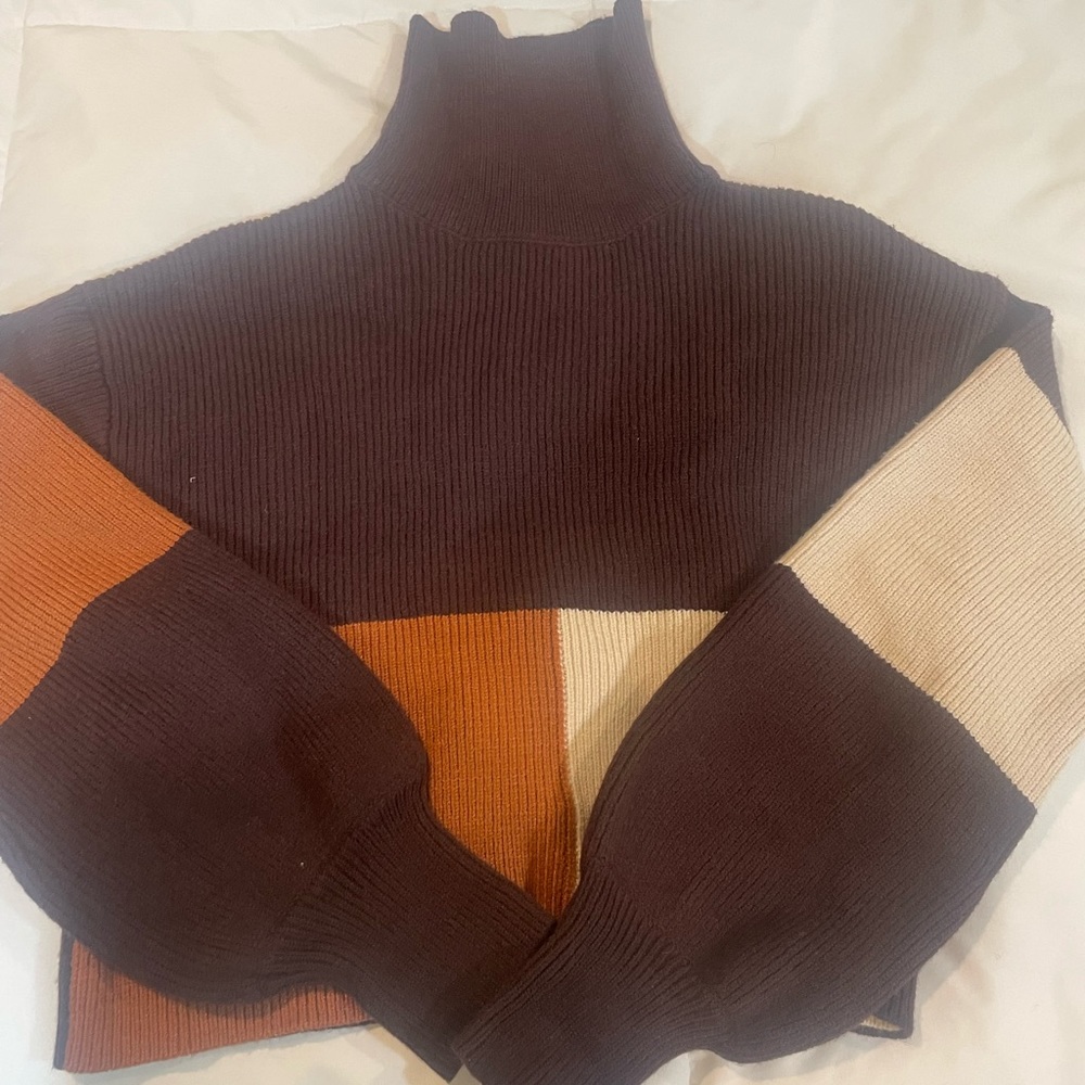 Cropped Color block Turtleneck